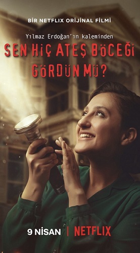 Ai văzut vreodată licurici?