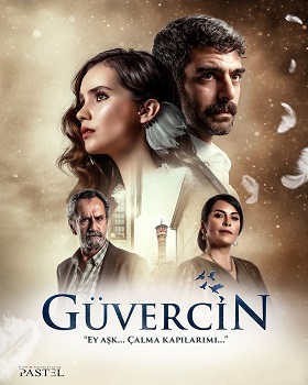 Guvercin – Porumbelul