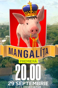 Mangalița