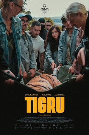 Tigru