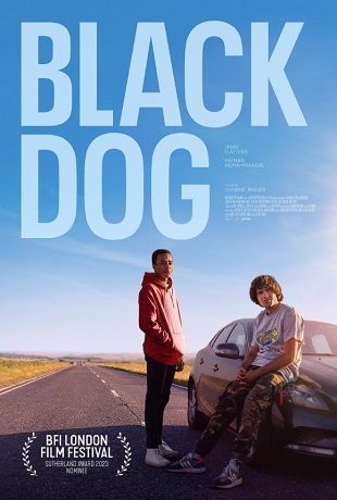 Black Dog