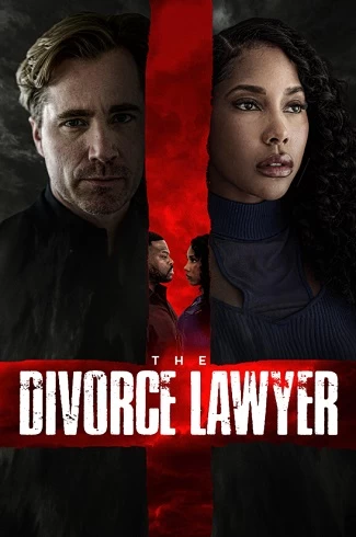 The Divorce Lawyer