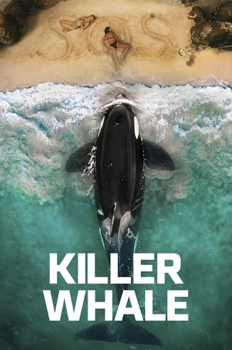 Killer Whale