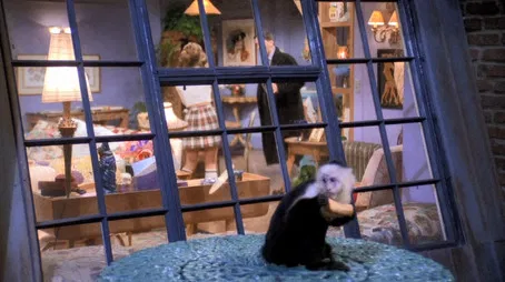 Cel în care maimuța nu mai e